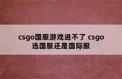 csgo国服游戏进不了 csgo选国服还是国际服